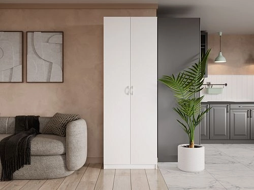 Шкаф распашной Зодиак - фото 1