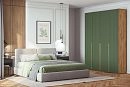 Шкаф распашной Лоренсе-4 Шарли Green