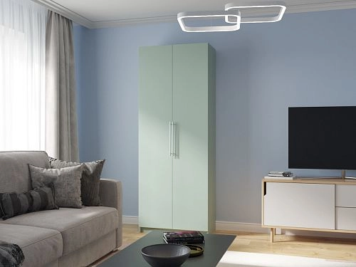 Шкаф распашной Калифорния-2 Пастельный Зеленый - фото 1