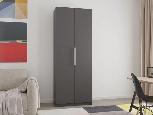 Шкаф распашной Калифорния-2 Графит - фото 1