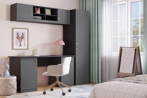 Стенка детская Стрекоза-10 Графит - фото 1