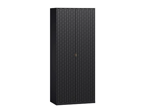 Шкаф распашной Тоди-2 Черный - фото 2