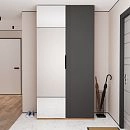 Шкаф распашной Астрис-3 с зеркалом Графит