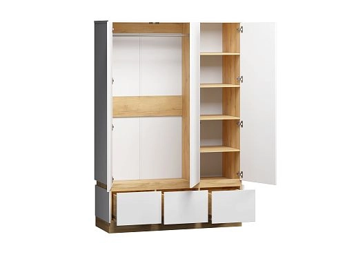 Шкаф распашной Exeed-3 Белый - фото 3