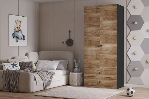 Шкаф распашной Банни-2.2 Дуб Мореный - фото 1