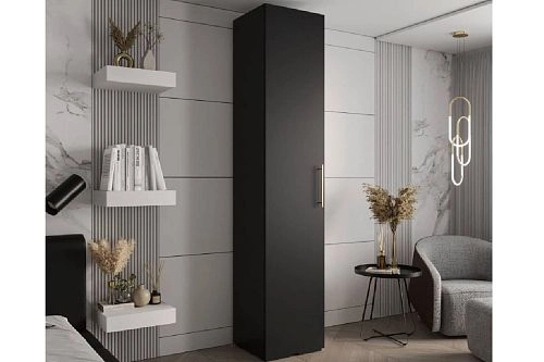 Шкаф распашной Лавис-1 Черный - фото 1