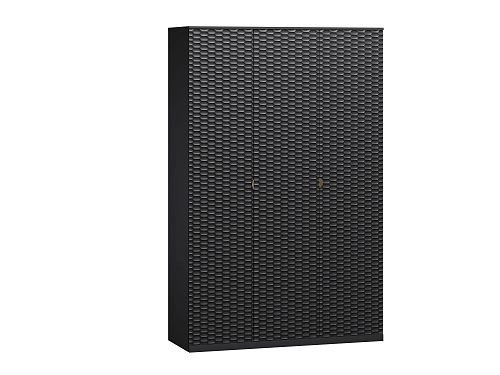 Шкаф распашной Тоди-3 Черный - фото 2