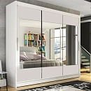 Шкаф-купе Амадеус-31